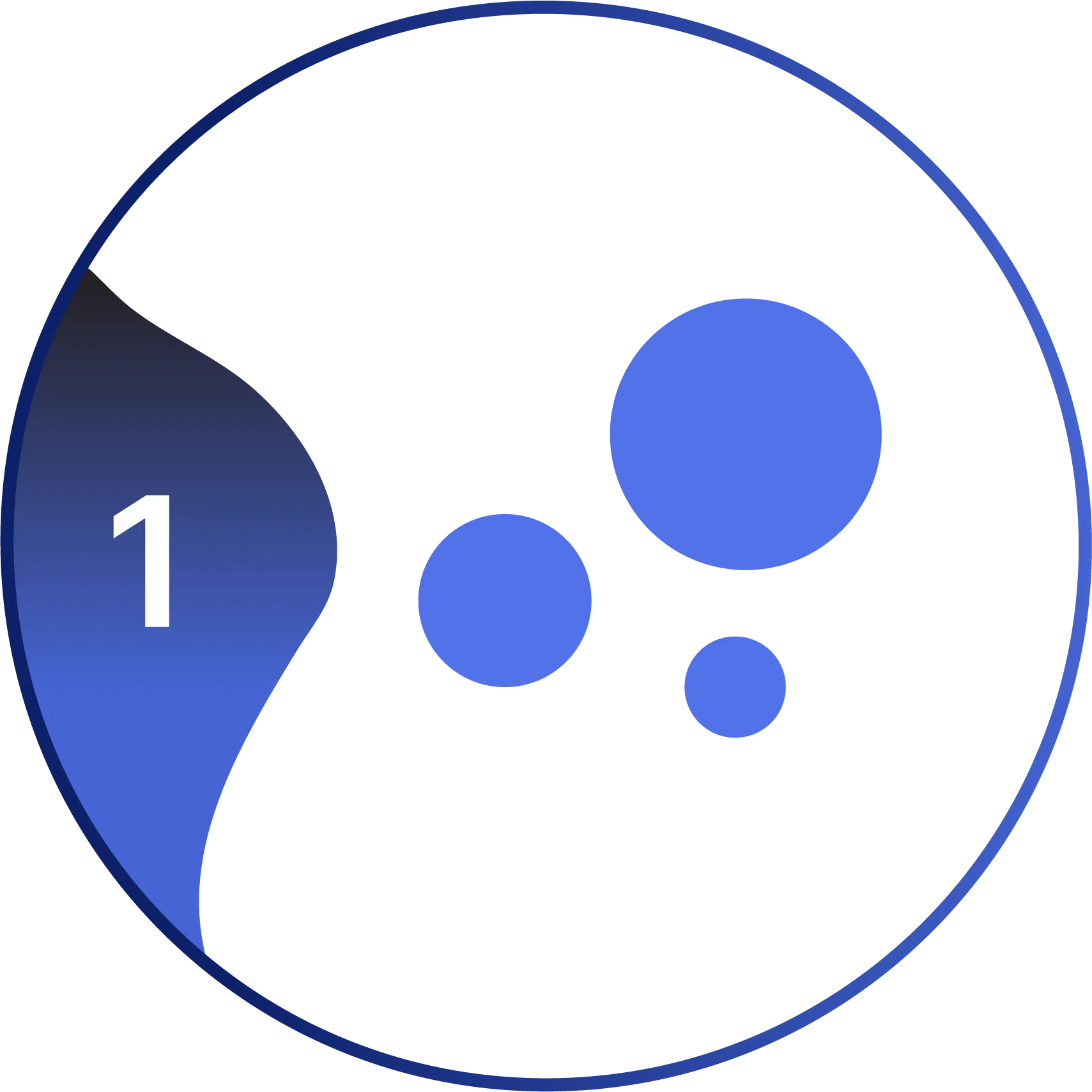 image of proces number