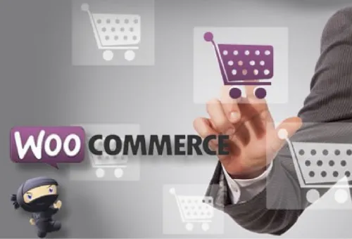 2 Women examining laptop